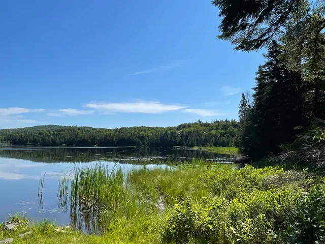 $105,000 | Off Fish Pond Road, Colebrook, NH 03576