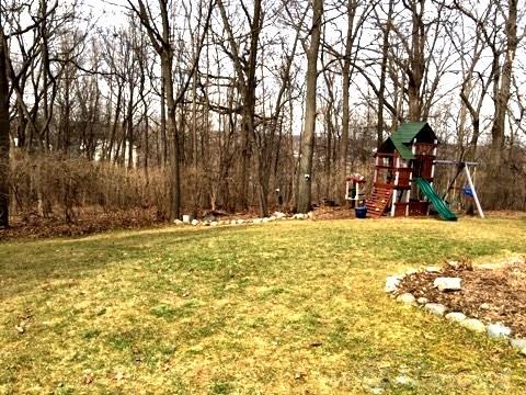 259 Whitney Drive Rochester Hills, MI 48307 - Photo 31 of 31