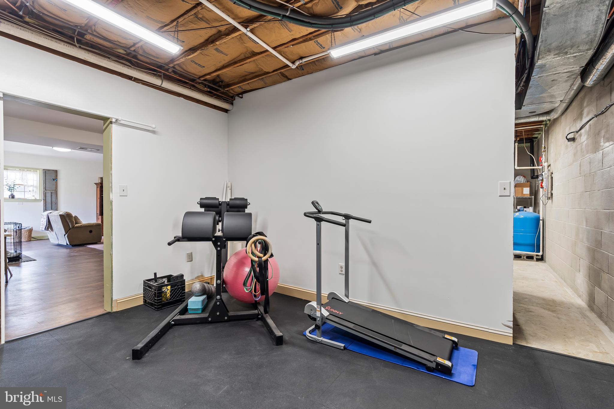 11625 Walnut Point Road Hagerstown, MD 21740 - Photo 68 of 118 a room with gym equipment