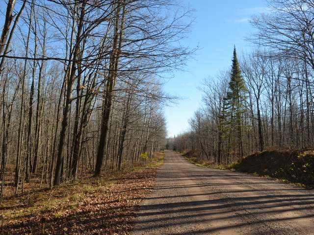 Four Mile Road Tomahawk, WI 54487 - Photo 8 of 20 Gallery Image 8