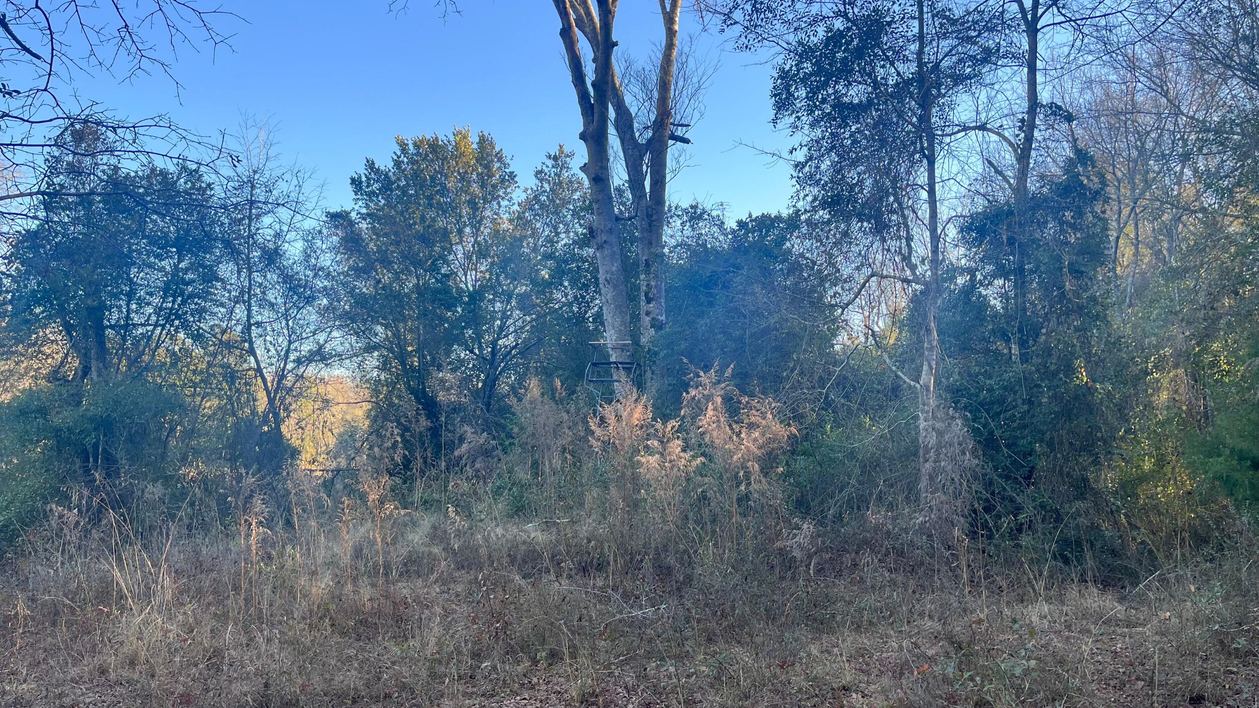 0 Millers Pond Road Salley, SC 29137 - Photo 20 of 28
