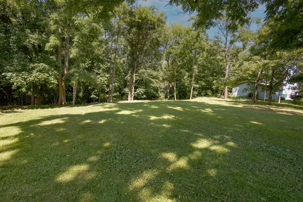 a view of a green field with trees