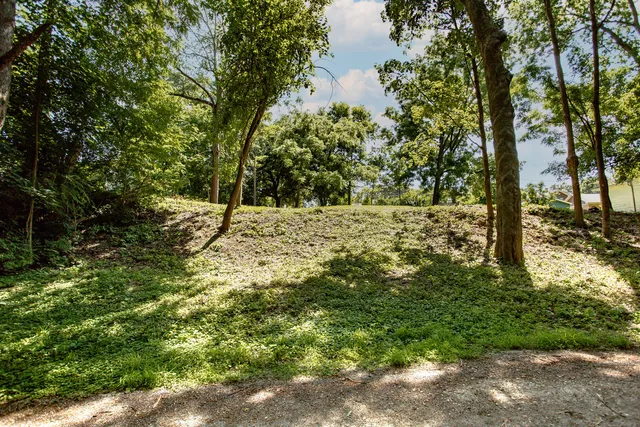 a view of a yard with plants and trees