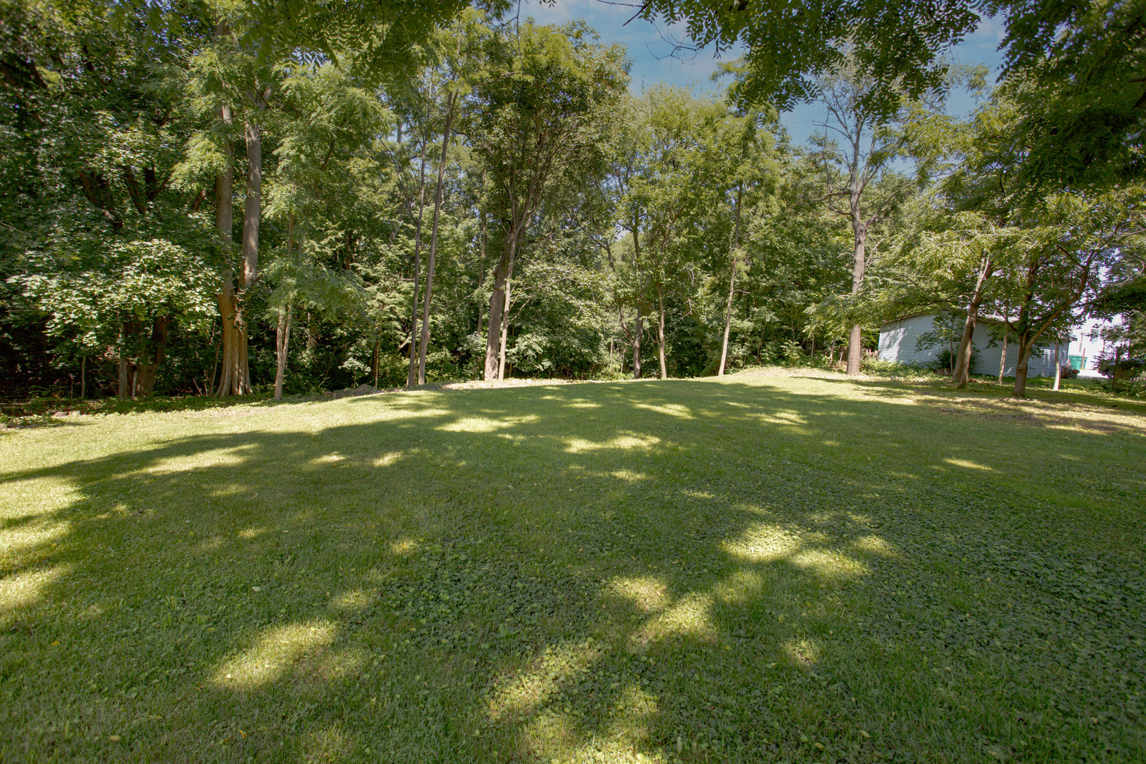 106 Hillsdale Road Joliet, IL 60433 - Photo 4 of 6 a view of a trees in a yard