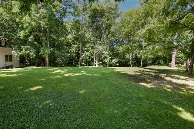 a view of a trees in a park