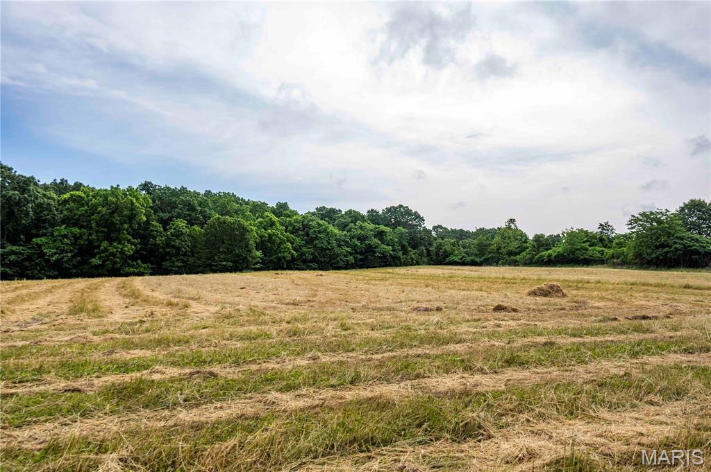 0 Abram Road Hartville, MO 65667 - Photo 55 of 97