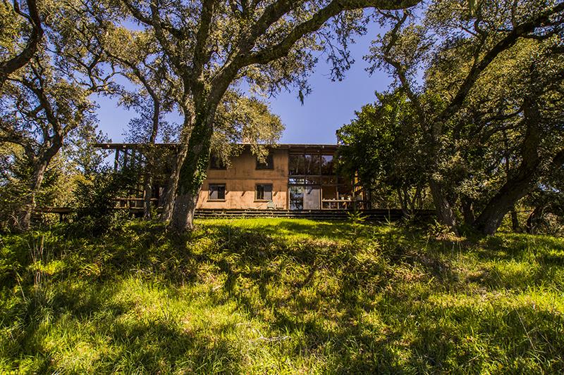 227 Rapley Ranch Road La Honda, CA 94020 - Photo 20 of 35 a view of a yard with plants and a large tree