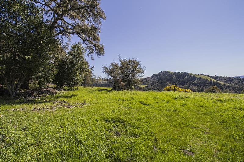227 Rapley Ranch Road La Honda, CA 94020 - Photo 22 of 35 a view of outdoor space and yard