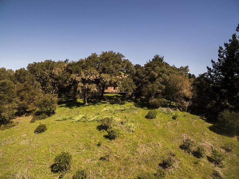 227 Rapley Ranch Road La Honda, CA 94020 - Photo 23 of 35 a view of a yard