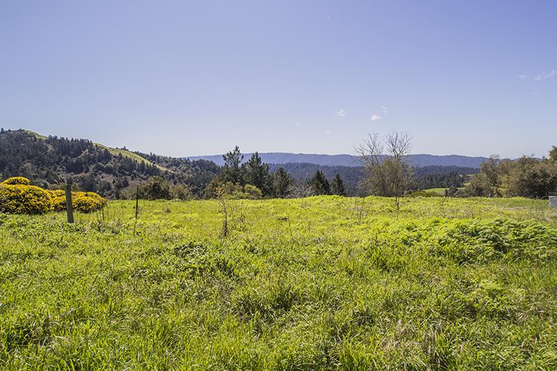 227 Rapley Ranch Road La Honda, CA 94020 - Photo 31 of 35 a view of a field with an ocean