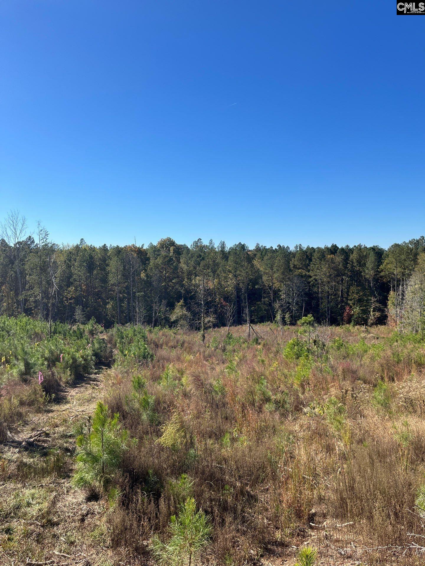 3 Dawkins Road, Unit DRF 3 Whitmire, SC 29178 - Photo 1 of 38