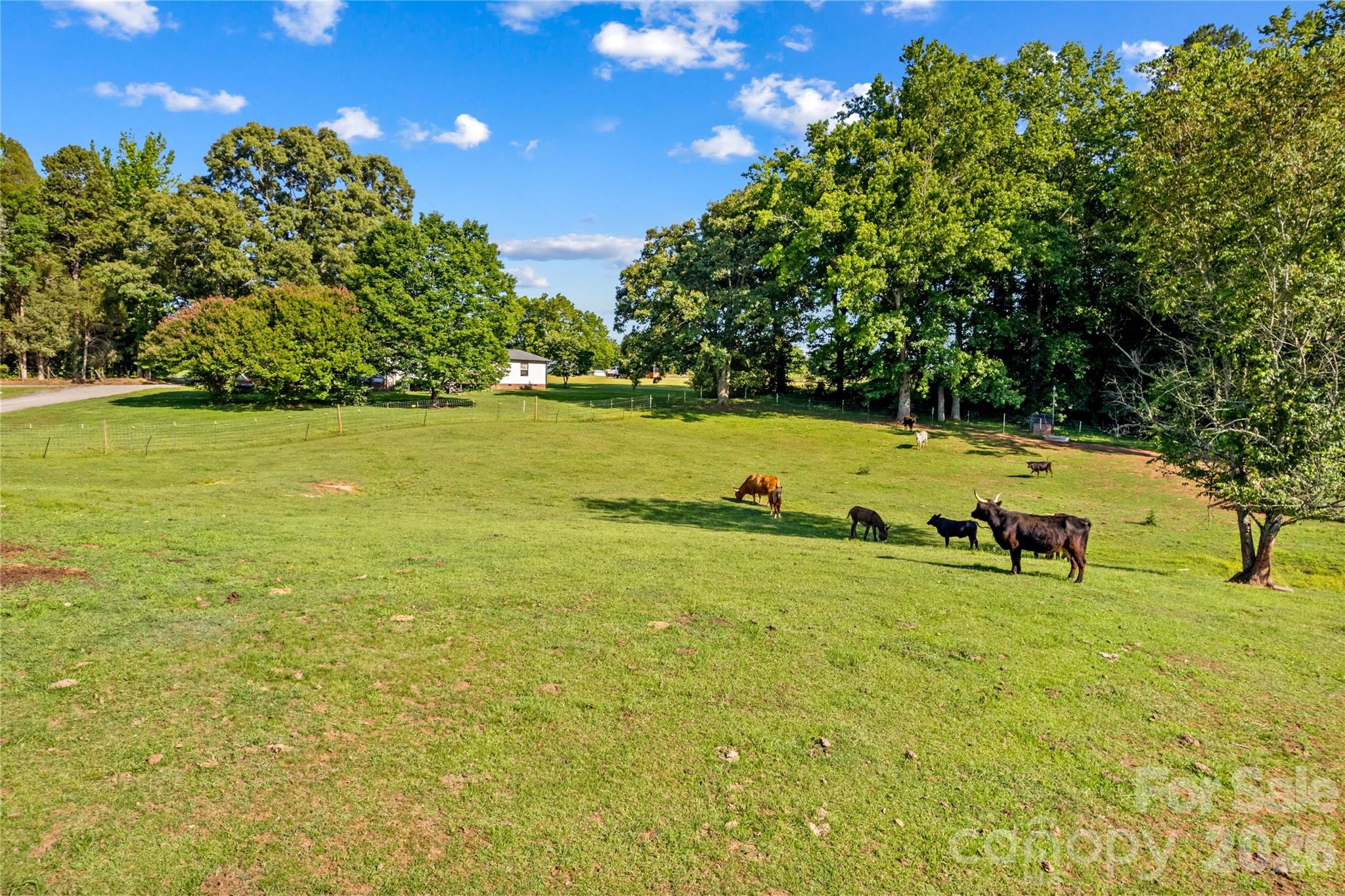 1124 Majolica Road Salisbury, NC 28147 - Photo 8 of 47