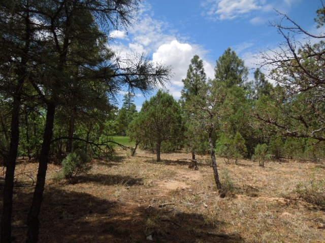 3821 West Hawthorn Road Show Low, AZ 85901 - Photo 11 of 12