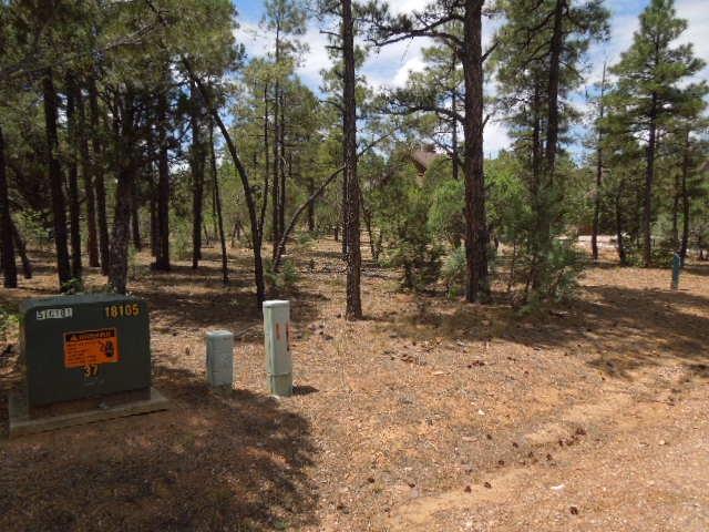 3821 West Hawthorn Road Show Low, AZ 85901 - Photo 3 of 12
