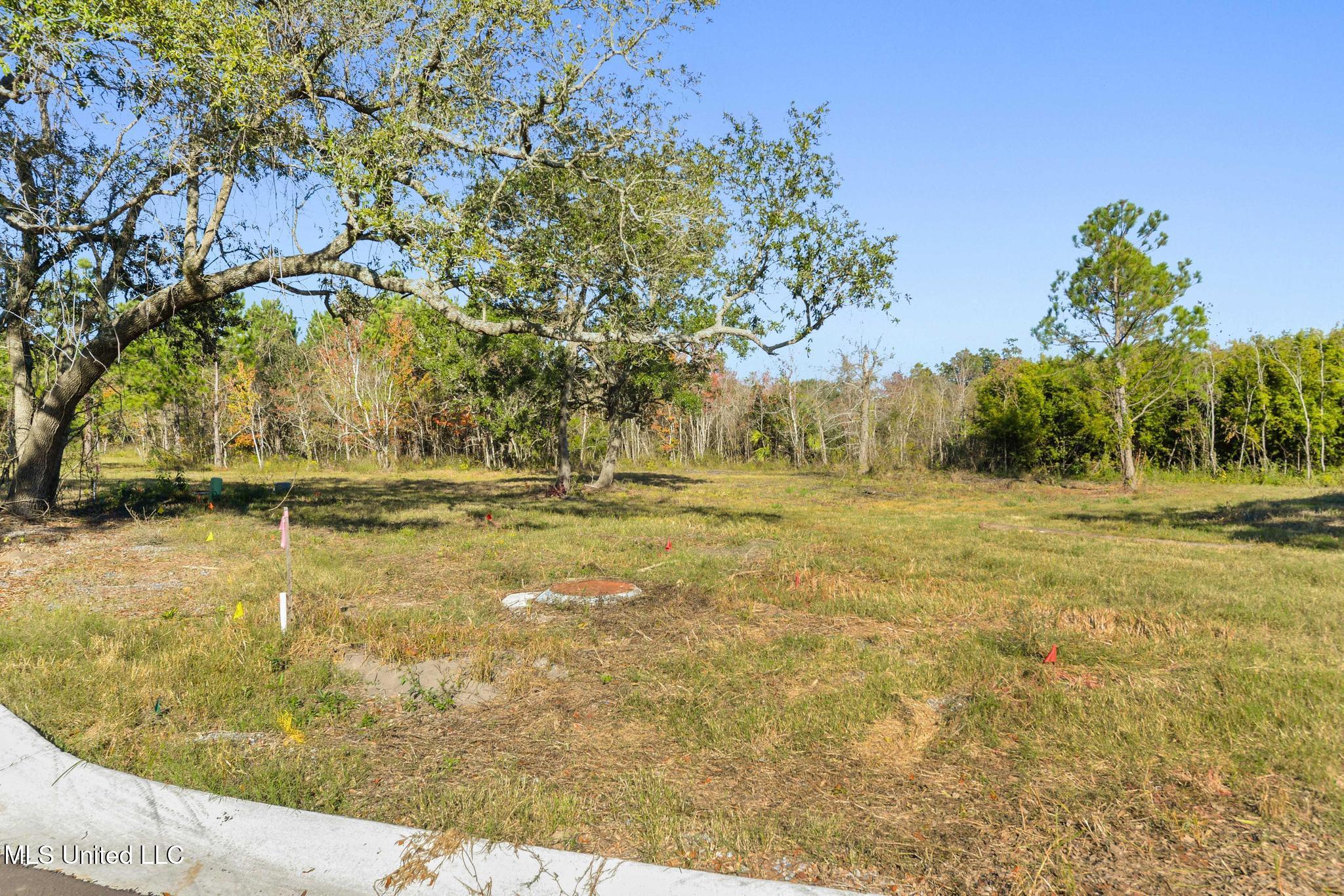 128 Live Oak Way Pass Christian, MS 39571 - Photo 11 of 14 028