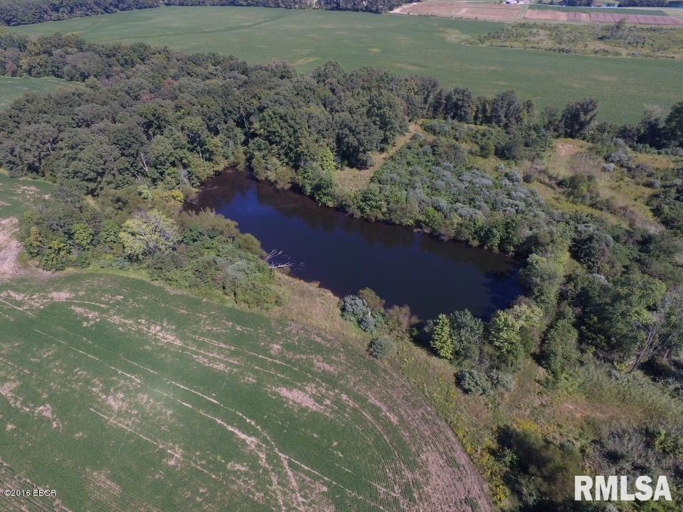 16814 New Dennison Road Marion, IL 62959 - Photo 4 of 9