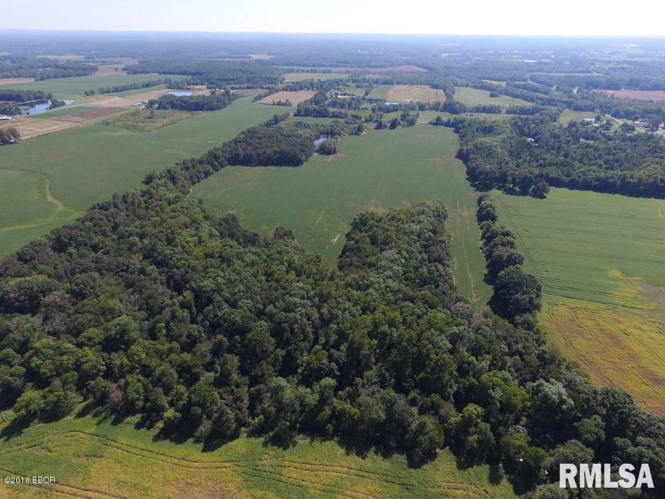 16814 New Dennison Road Marion, IL 62959 - Photo 5 of 9