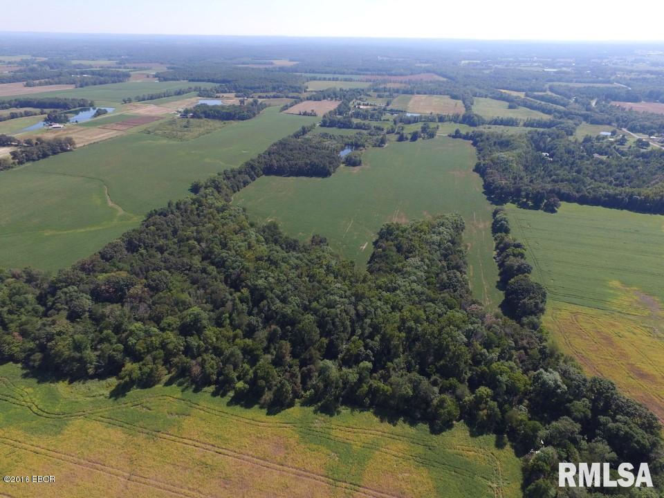 16814 New Dennison Road Marion, IL 62959 - Photo 6 of 9