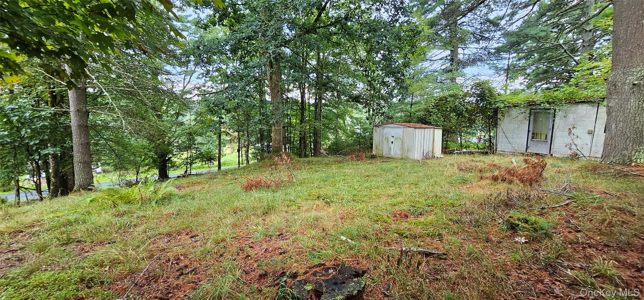 126 Tusten Mountain Lake Road Narrowsburg, NY 12764 - Photo 7 of 11 a view of a big yard with large trees