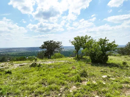 a big yard with lots of green space