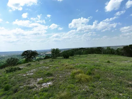 a view of a big yard