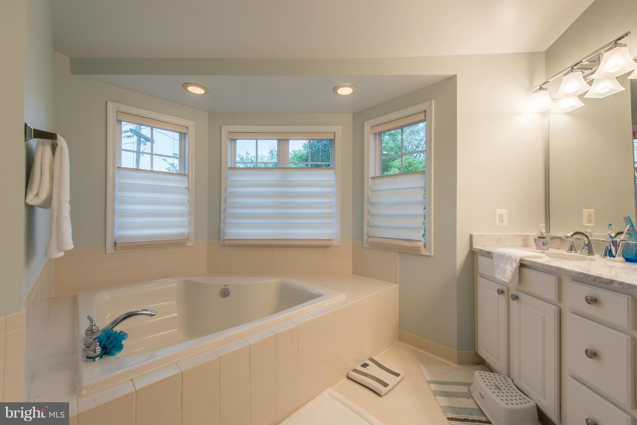7361 Stream Bluff Way Springfield, VA 22153 - Photo 22 of 29 Bath (Master)