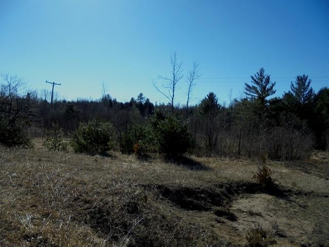 0 Helmer Lake Road Mio, MI 48647 - Photo 8 of 9 Gallery Image 8