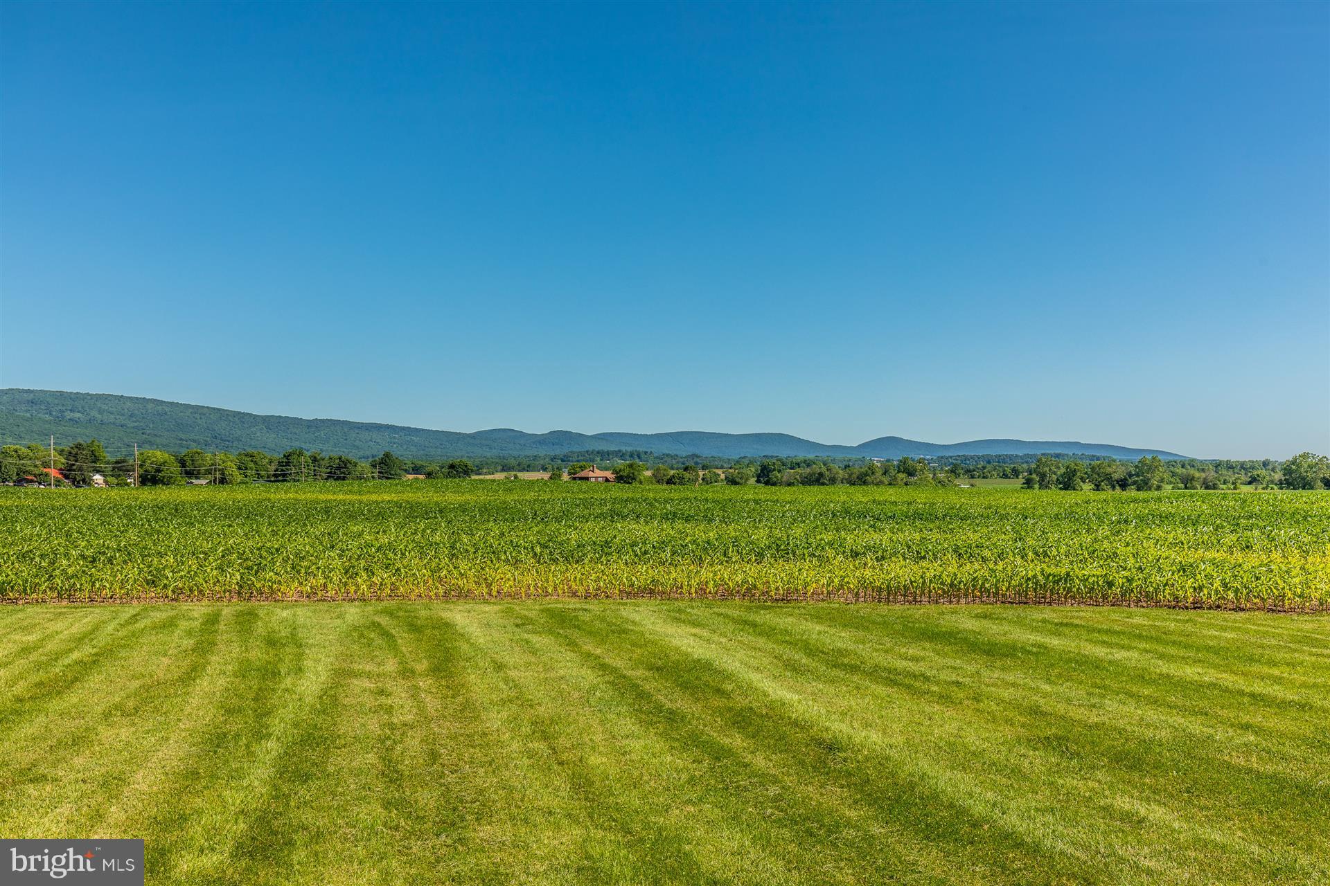11324 Angleberger Road Thurmont, MD 21788 - Photo 26 of 27 Gorgeous view of the mountains.