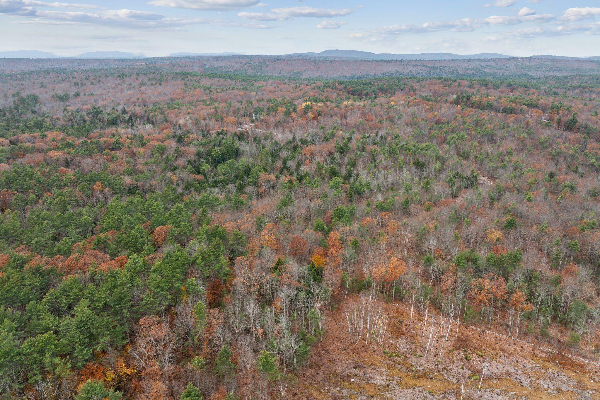 Lot 0 North Raymond Road Gray, ME 04039 - Photo 9 of 17 7_DJI_20241101094103_0233_D