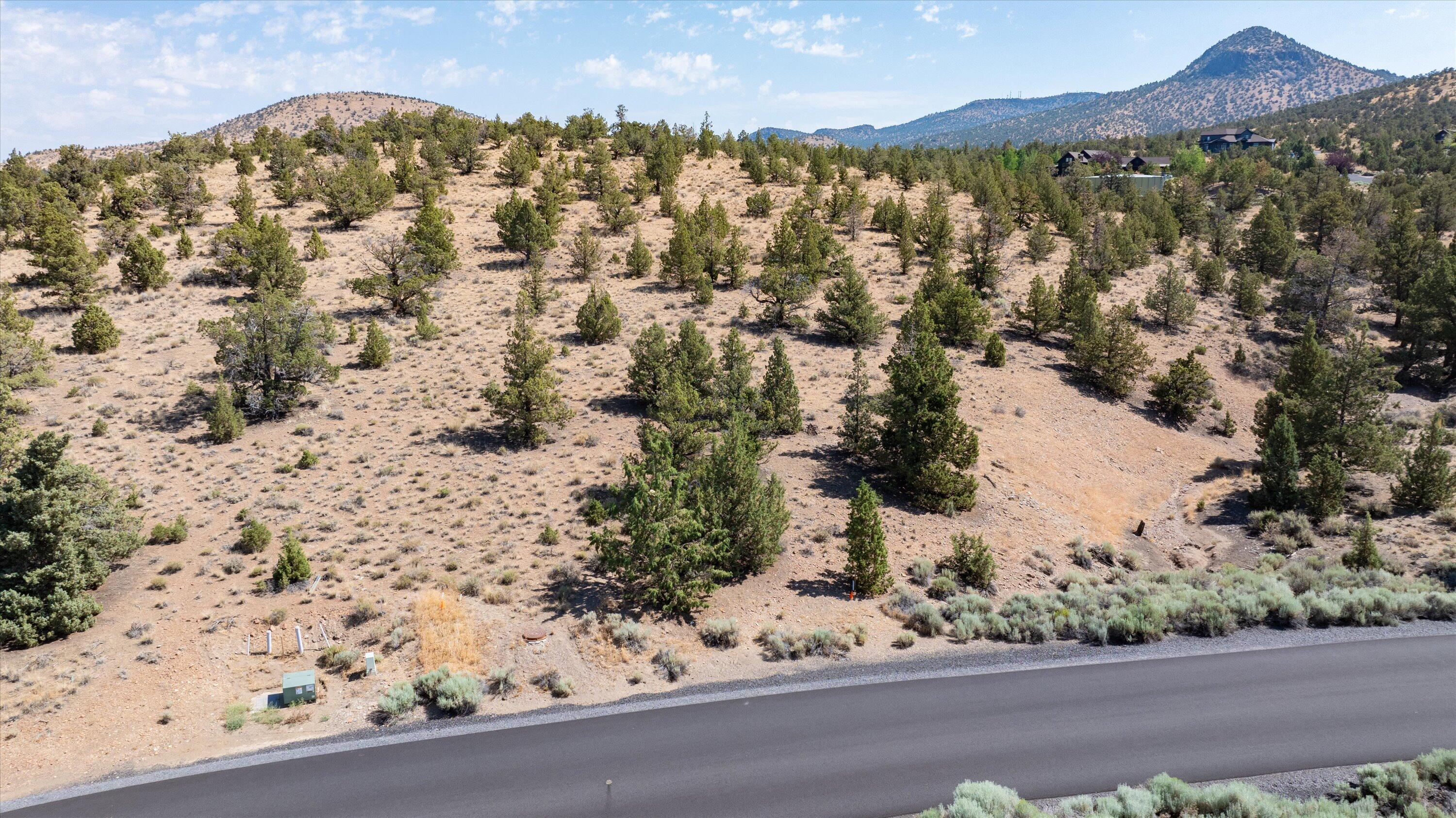 Southwest Hat Rock Loop, Unit HOMESITE 177 Powell Butte, OR 97753 - Photo 12 of 25 11-240713_JILLROSELL-14