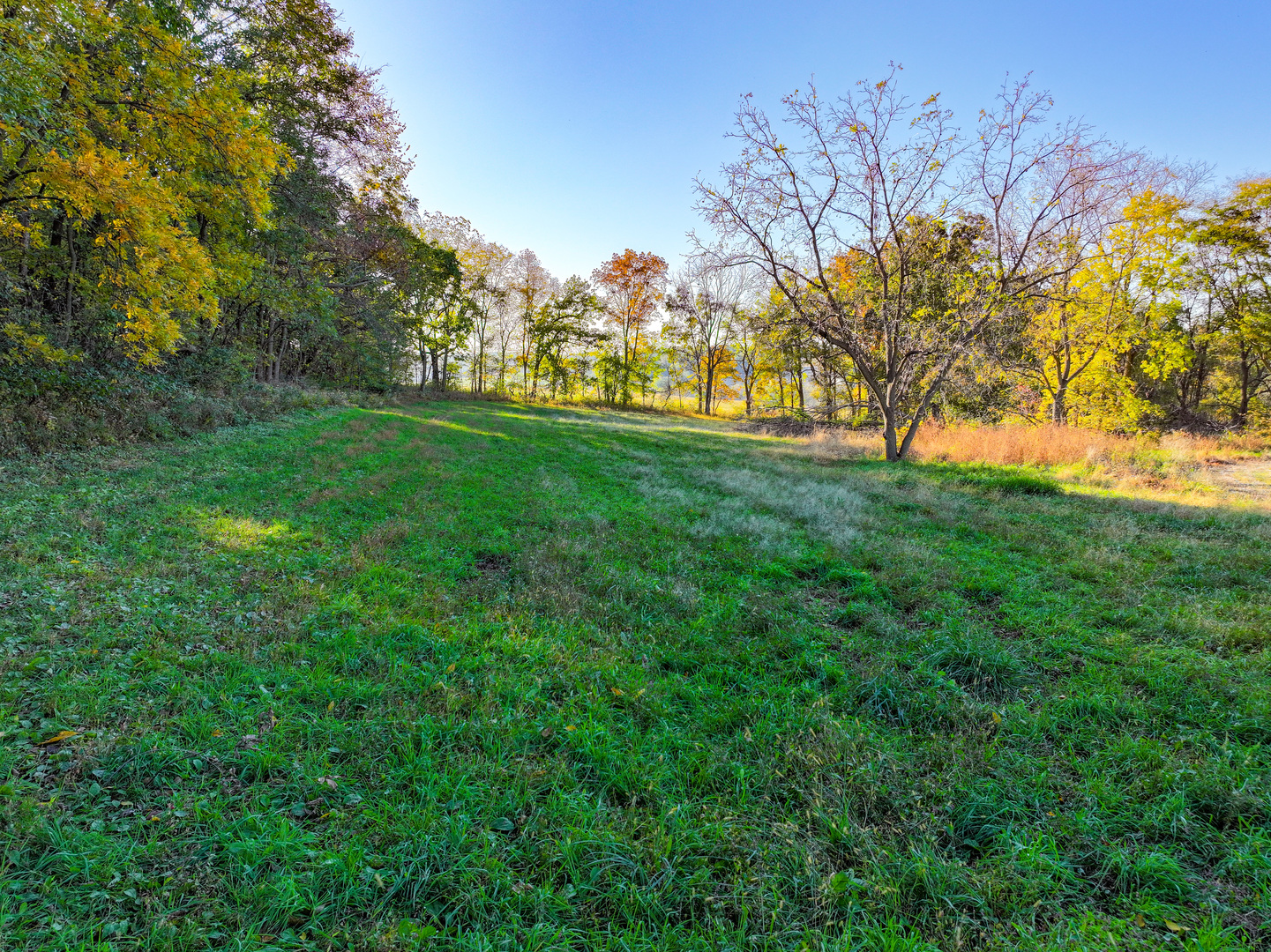 14308 East Gerke Road Pearl City, IL 61062 - Photo 23 of 77 Gallery Image 23
