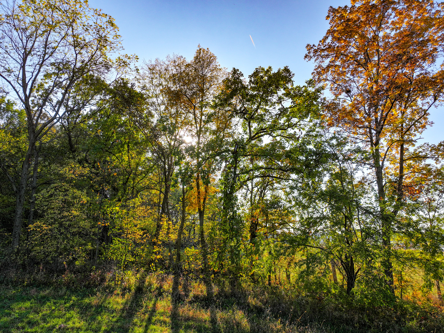 14308 East Gerke Road Pearl City, IL 61062 - Photo 25 of 77 Gallery Image 25