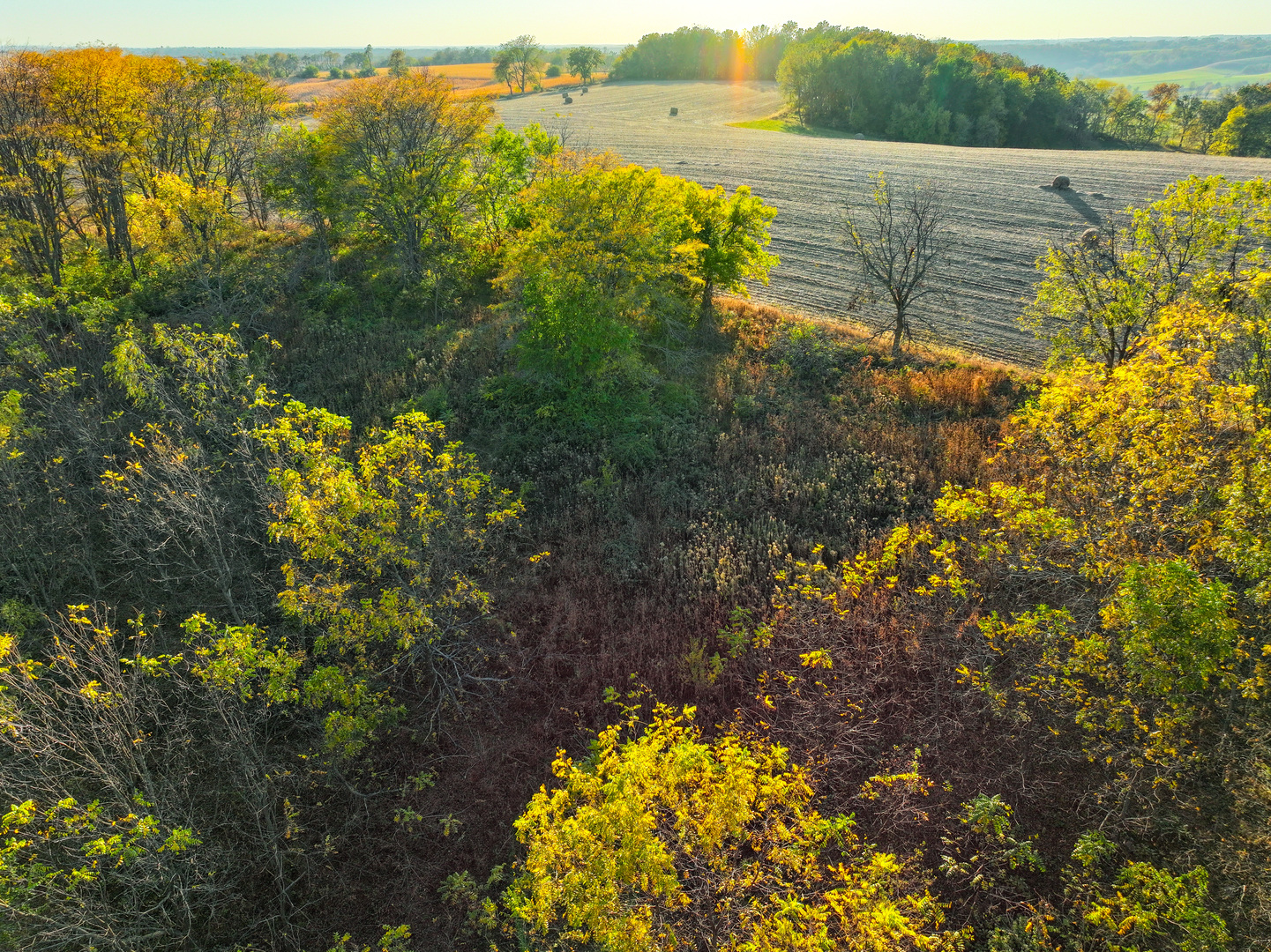 14308 East Gerke Road Pearl City, IL 61062 - Photo 36 of 77 Gallery Image 36