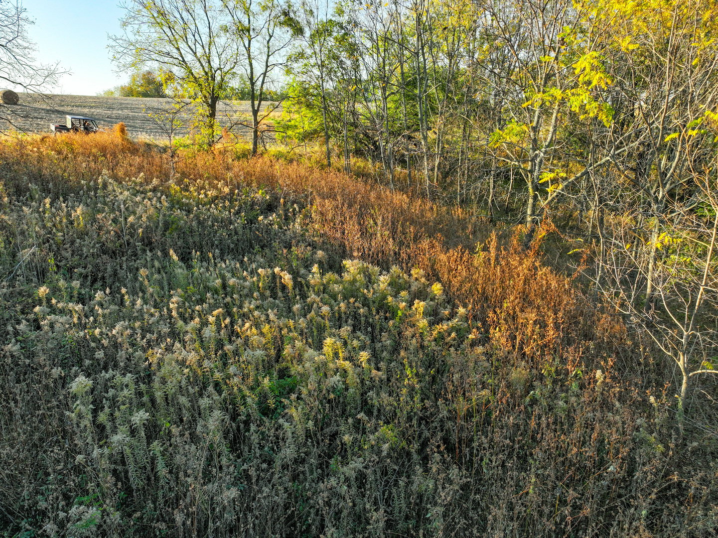14308 East Gerke Road Pearl City, IL 61062 - Photo 38 of 77 Gallery Image 38