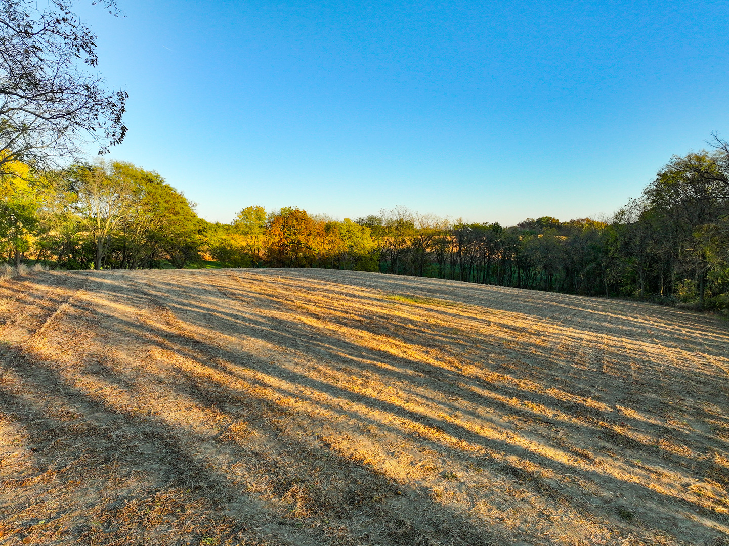 14308 East Gerke Road Pearl City, IL 61062 - Photo 42 of 77 Gallery Image 42