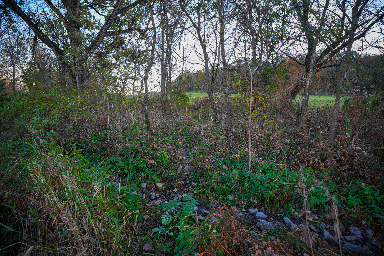 14308 East Gerke Road Pearl City, IL 61062 - Photo 49 of 77 Gallery Image 49