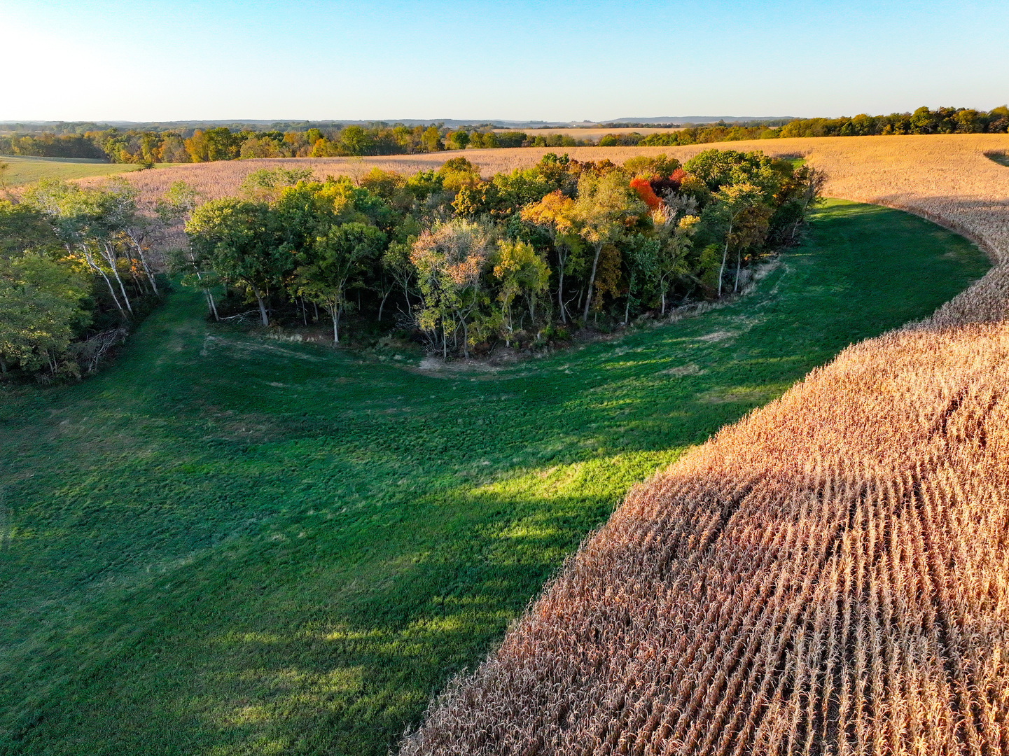 14308 East Gerke Road Pearl City, IL 61062 - Photo 63 of 77 Gallery Image 63
