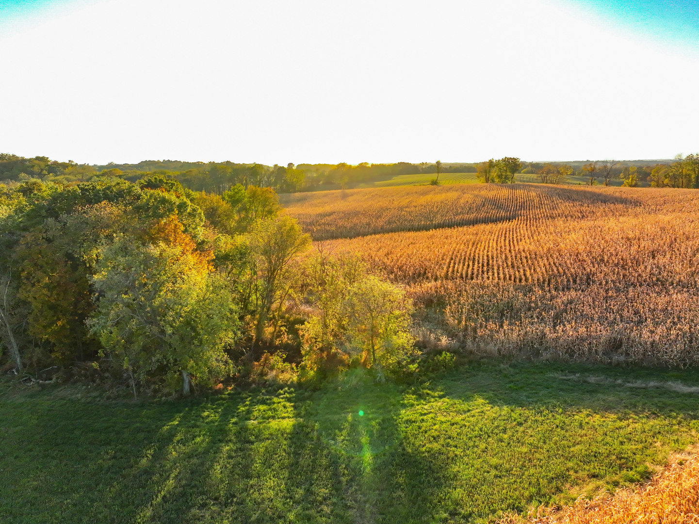 14308 East Gerke Road Pearl City, IL 61062 - Photo 64 of 77 Gallery Image 64