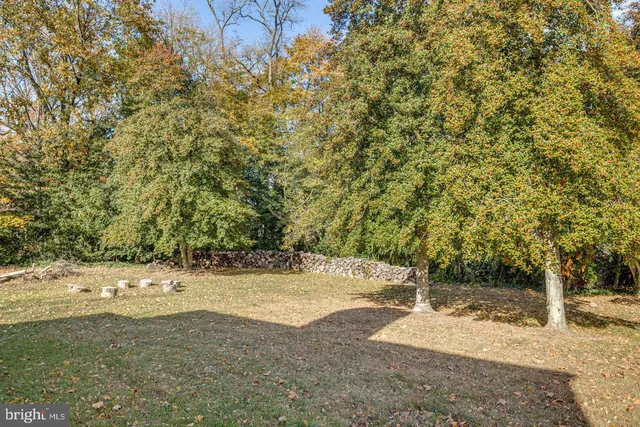 a view of a yard with trees