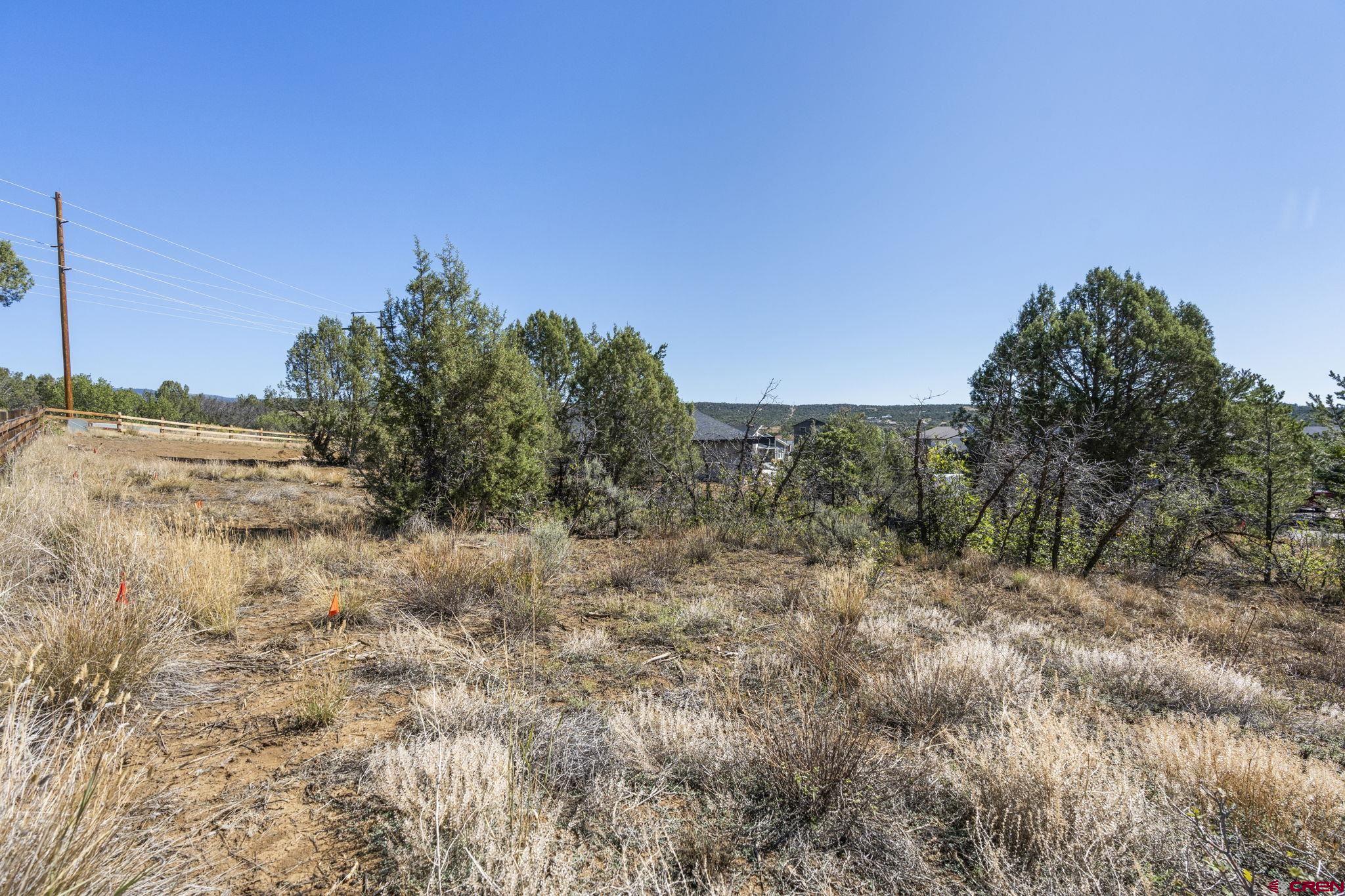 75 Salt Brush Street Durango, CO 81301 - Photo 11 of 13 a view of a dry yard with trees