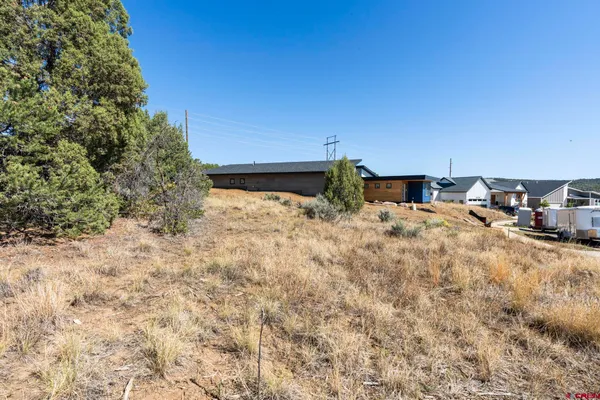 a view of back yard of the house