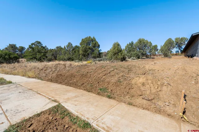 a view of a dry yard with trees in the background