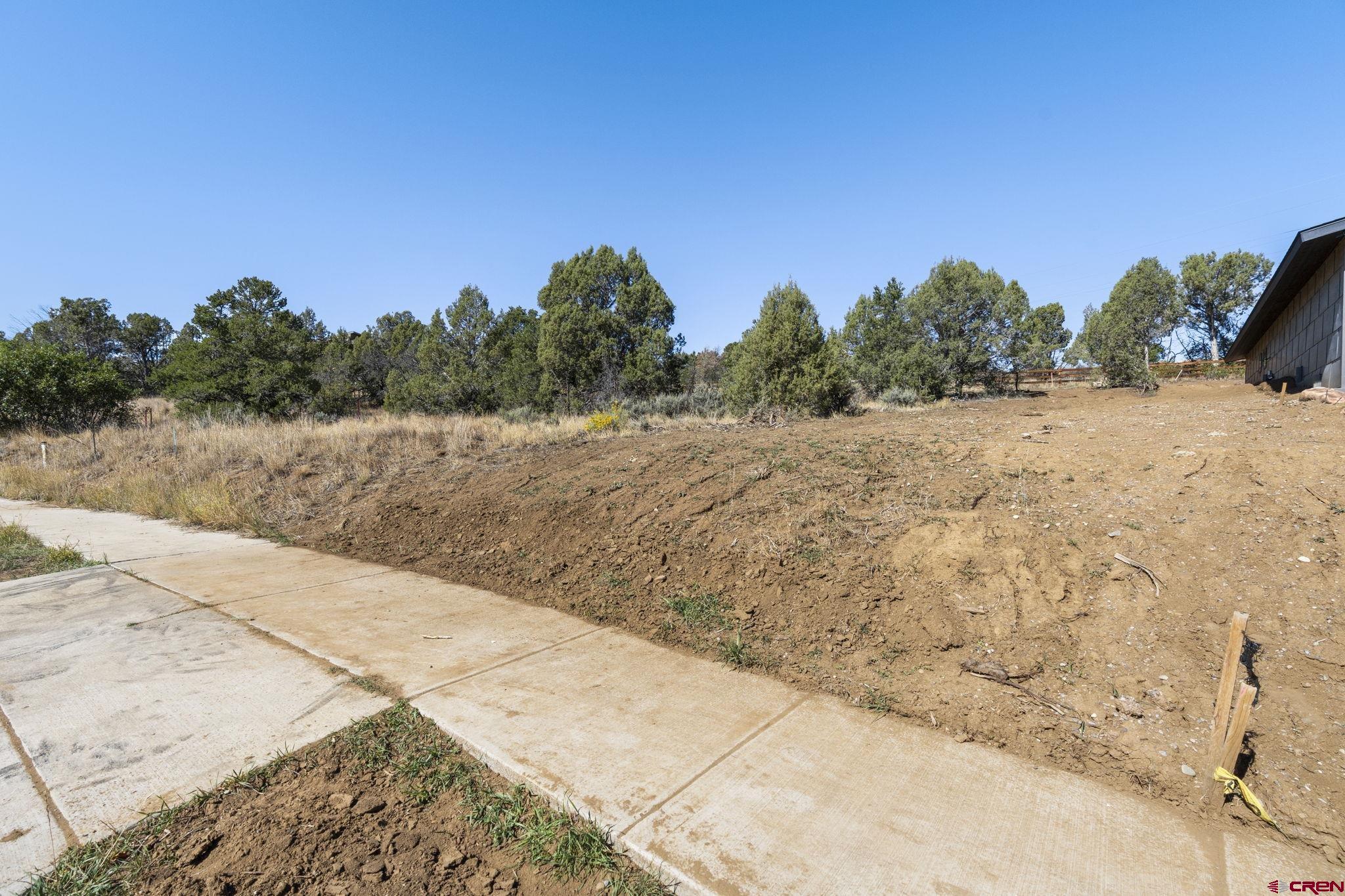 75 Salt Brush Street Durango, CO 81301 - Photo 5 of 13 a view of a dry yard with trees in the background