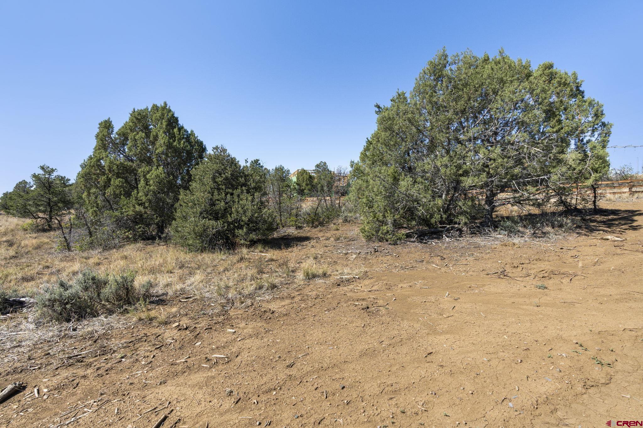 75 Salt Brush Street Durango, CO 81301 - Photo 8 of 13 a view of a dry yard with trees