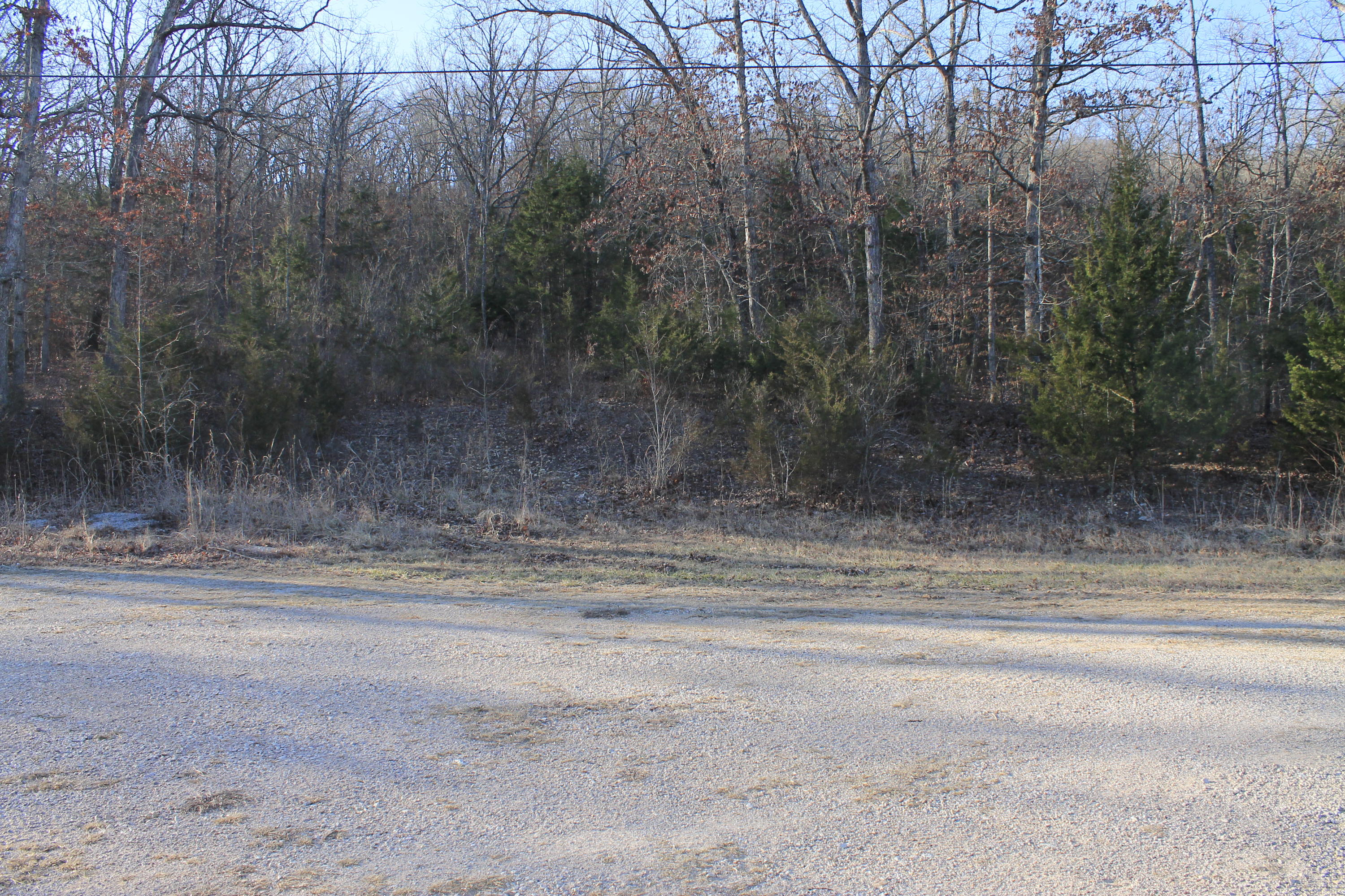 Lot 239 Turnridge Drive Reeds Spring, MO 65737 - Photo 1 of 1 Lot 239