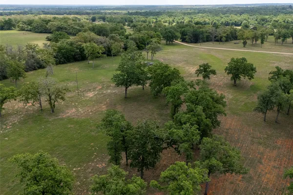an aerial view of green landscape with trees houses and lake view