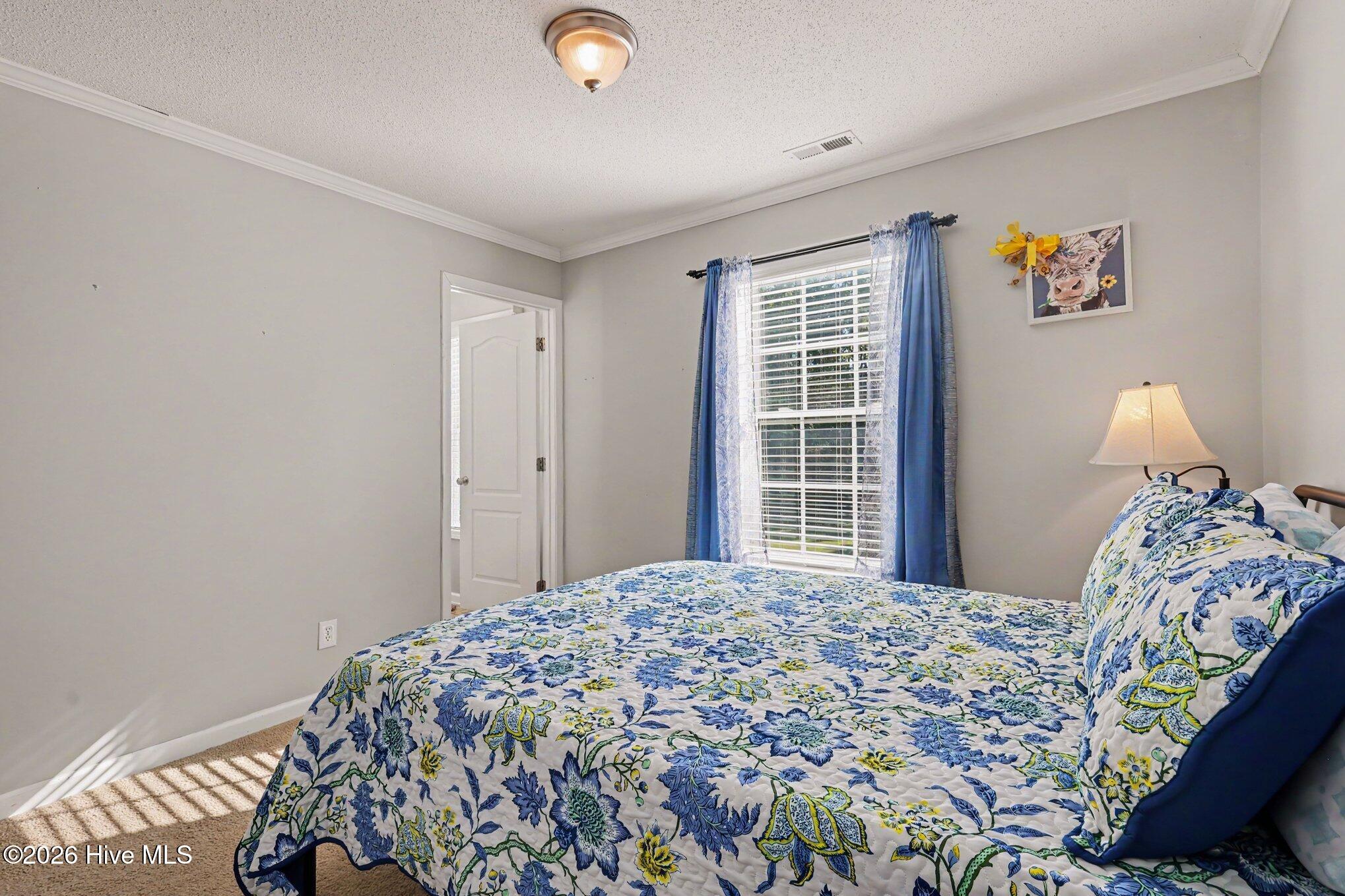 16039 Buffalo Road Clayton, NC 27527 - Photo 15 of 33 Gallery Image 15