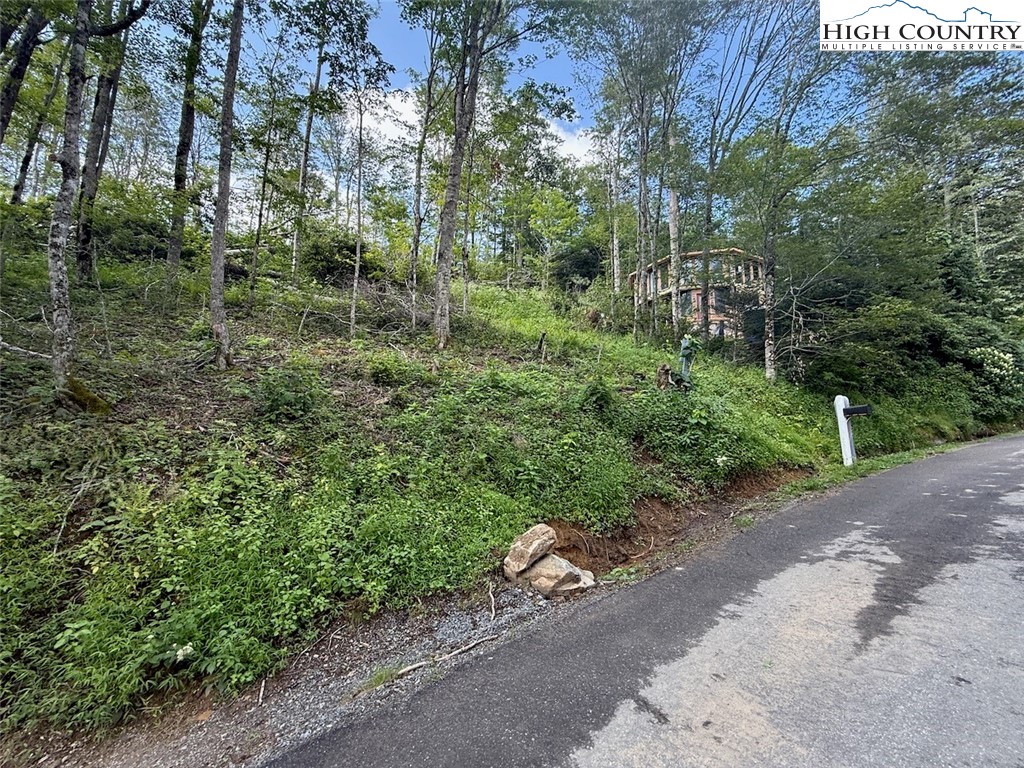 63 Timber Ridge Road Sugar Mountain, NC 28604 - Photo 11 of 15