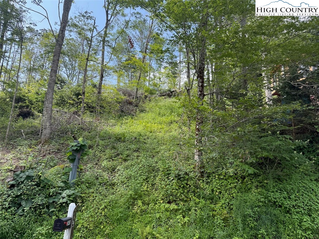 63 Timber Ridge Road Sugar Mountain, NC 28604 - Photo 12 of 15