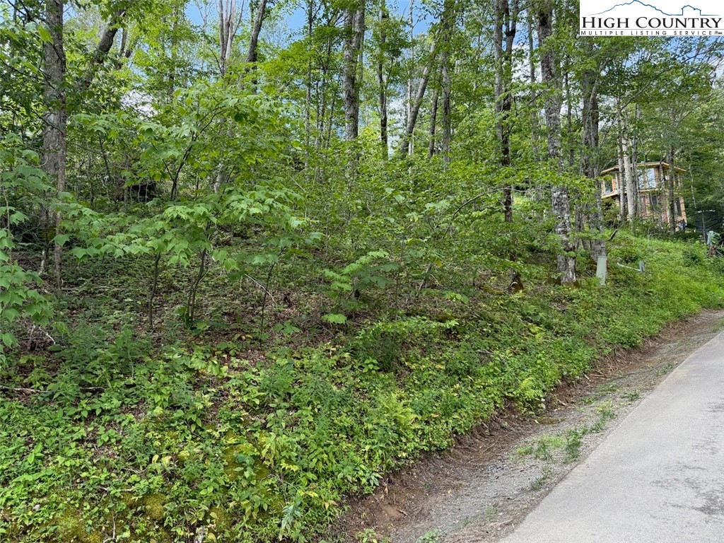 63 Timber Ridge Road Sugar Mountain, NC 28604 - Photo 2 of 15